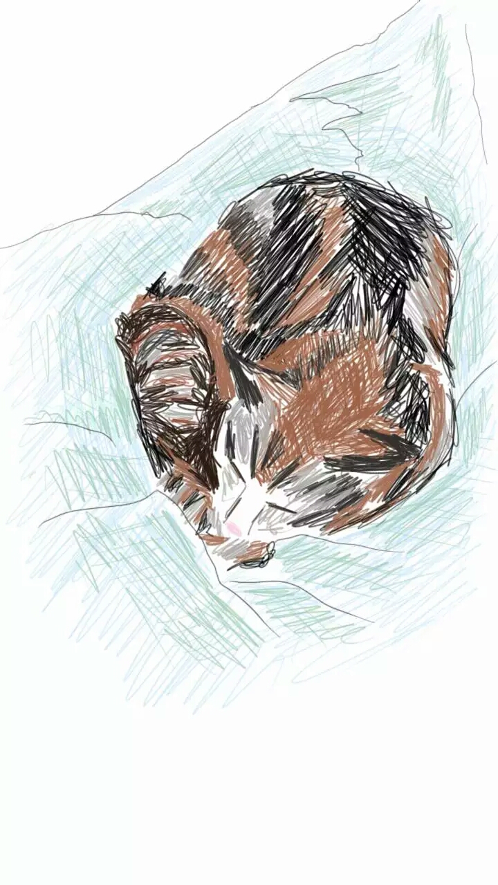 “Cozy Cat” (Note 4 art)